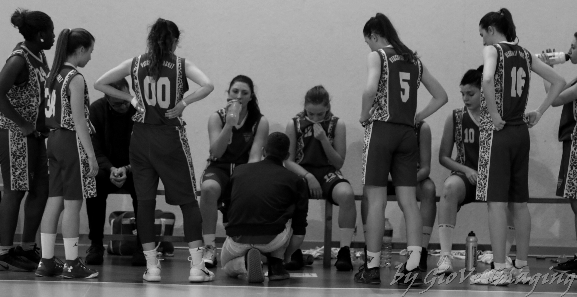 SERIE C F: GSQSA – VISCONTI BASKET: 64 – 58