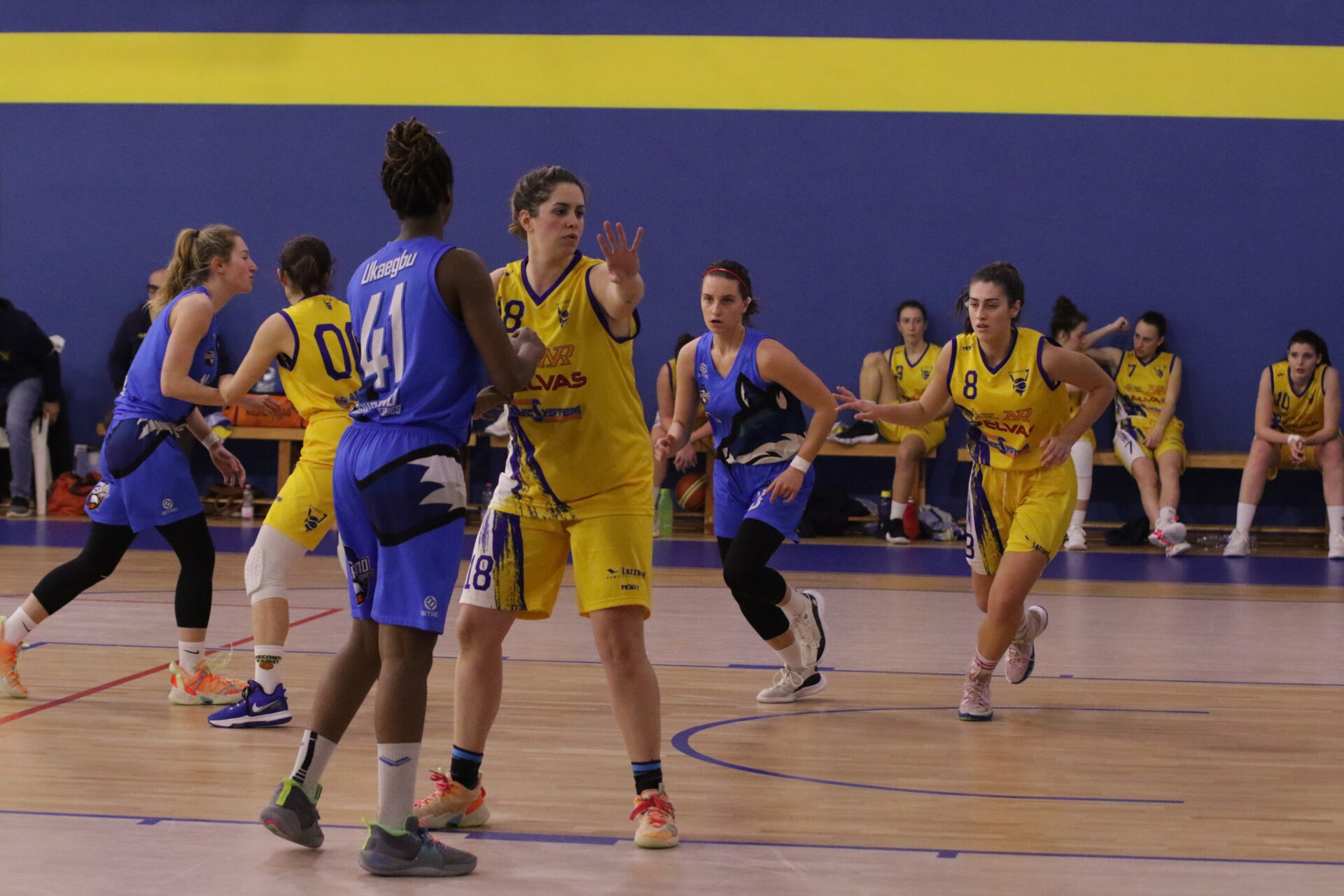 SERIE B FEMMINILE: ELVAS VISCONTI– PONTEVICO BASKET: 43 – 49